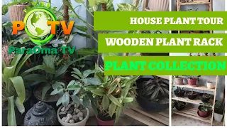 House Plant  Tour and Wooden Plant Rack | PARAOMA TV