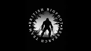 Is Bigfoot in our Imagination? ft Michael Merchant & Christopher Noel