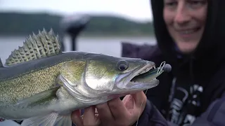 Raubfisch Kunstköderporträt "Swimfish" von Lunker City