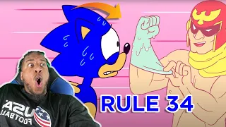 ITS NOT OVER!! Sonic vs Rule 34 PART TWO (REACTION)