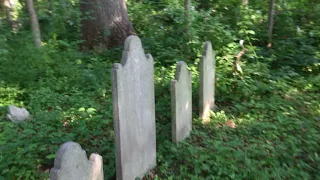 Potts Family Cemetery - Family History Tombstone Miracle Story