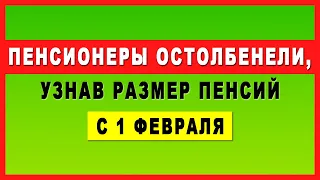 Пенсионеры остолбенели, узнав размер пенсий с 1 февраля!