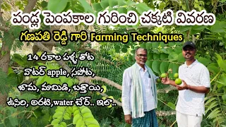 Different type of fruit farming Techniques..#farming #రైతునేస్తం #రైతులు #vyavasayam #friuits