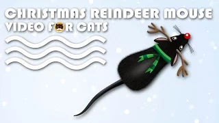 CAT GAMES - Christmas Reindeer Mouse! MOUSE VIDEO FOR CATS | CAT TV.