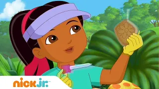 Даша и друзья | Земля садов | Nick Jr. Россия