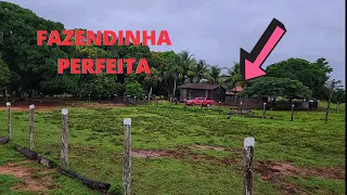 Fazendinha top demais a venda.  31 alqueires a 45 km de São Félix do xingu Pará.  terra Rocha.