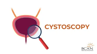 What is a cystoscopy?