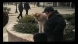 Hachiko.A Dogs Story.2010.Dvdrip-8.mp4