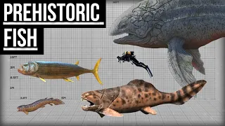 Largest Prehistoric Fish | Size Comparison