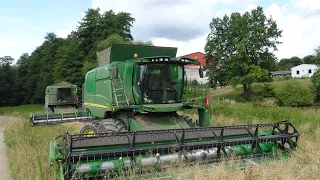 SEČEME PŠENICI A SYPE NÁM TO 12 - JOHN DEERE T 670i + JD 2266 HILLMASTER  ŠKODA 706 ZETOR.