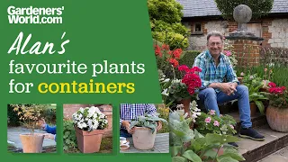 Five plants for containers | Alan Titchmarsh