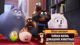 Лёша смотрит: «Тайная жизнь домашних животных» (The Secret Life of Pets)