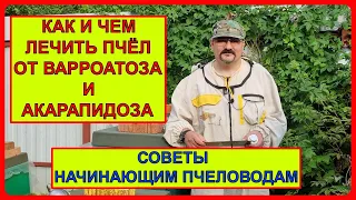 🔴 Лечение пчёл от варроатоза и акарапидоза. Разговор по пчеловодству для начинающих о клеще Варроа 🔴