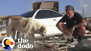 Guy Uses Drones To Rescue Animals From Disasters | The Dodo Heroes