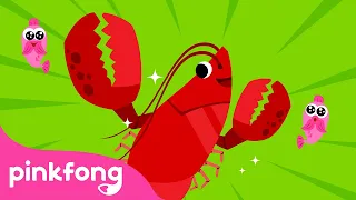 Jepit, Capit Aku Lobster! | Series Binatang Laut | Lagu Anak pendidikan | Pinkfong & Baby Shark
