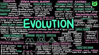 Evolution | Evolution & Phylogeny 01 | Biology | PP Notes | Campbell 8E Ch. 22-24