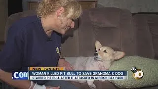 Woman killed pit bull to save grandma, dog