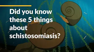 Did you know these 5 things about schistosomiasis?