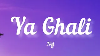 Nèj- Ya Ghali (Lyrics / Parole ) | Nèj- يا غالي (كلمات)