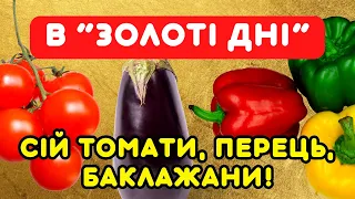 Не прогав - у ЛЮТОМУ та БЕРЕЗНІ 2024, сій на розсаду! Кращі дні у лютому-березні для посіва