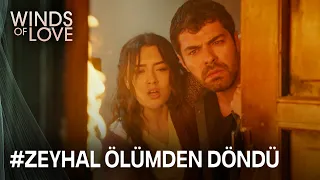 Alper saved Zeynep and Halil's life | Winds of Love Episode 80 (MULTI SUB)