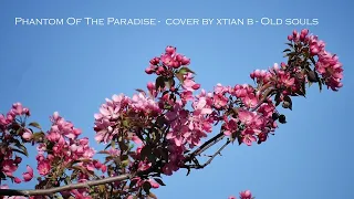 Phantom Of The Paradise - Old Souls  cover by xtian b