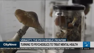 Turning to psychedelics to treat mental health