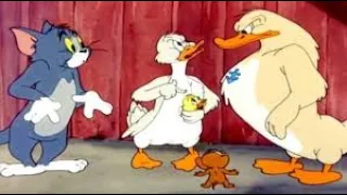 Tom and Jerry, 47 Episode - Little Quacker (1950