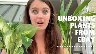 Unboxing Plants from Ebay