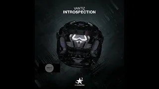 Vantiz _ Introspection (Extended Mix)