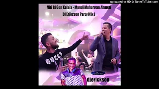 Viti Ri Gon Kalaja - Mandi Muharrem Ahmeti Eri Qerimi Landi Roko ( Dj Erikcson Party Mix ) 100