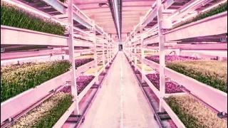 Sustainable Farming In London | Good Housekeeping UK