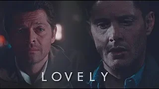 I don't have a choice - Dean & Cas [S13]