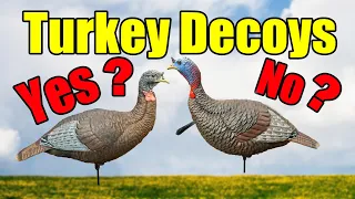 Turkey Decoys – Yes or No?  - Turkey Hunting for Beginners