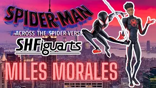 S.H. Figuarts Miles Morales REVIEW