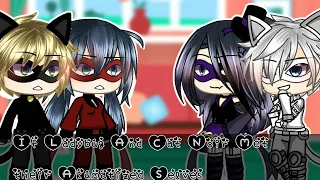 || If Ladybug And Cat Noir Met Their Akumatized Selves || MLB ||