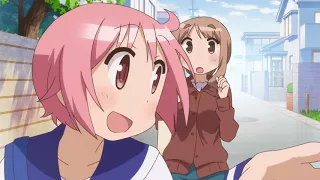 Yuyushiki OVA NCOP