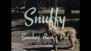 1950s SMOKEY THE BEAR P.S.A.s & MAINE FOREST FIRE DOCUMENTARY FILM  95644a