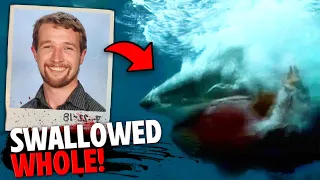 This Spearfisherman Was SWALLOWED WHOLE By Great White Shark In Front of His Friends!