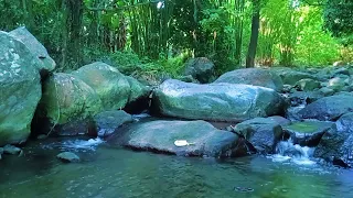 Relaxing Water Sounds, Relaxing Forest Sounds, Gentle Water Sounds | Small Waterfall