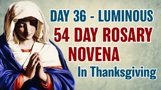 54 Day Rosary Novena Day 36 💛Luminous Mysteries