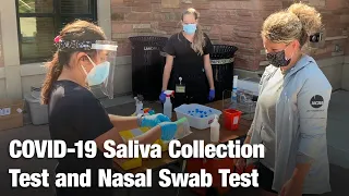 COVID-19 Saliva Collection Test and Nasal Swab Test | CU Boulder