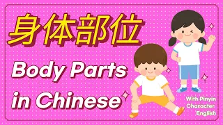 学中文-身体部位 | Body Parts in Mandarin Chinese | 汉语-我的身体 | Vocabulary & Sentences of My Body in Chinese