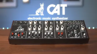 Introducing the CAT Synthesizer