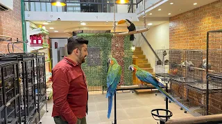 Teaser - The Biggest Exotic Bird Store in India.
