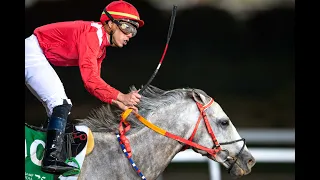 IRAD ORTIZ JR. - Segunda Victoria En Arabia - 29 Febrero 2020