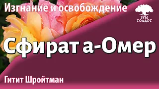 Урок для женщин. Сфират а-омер. Гитит Шройтман