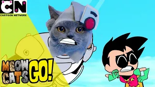 Meow Cats Go! | Teen Titans Go! | Cartoon Network UK