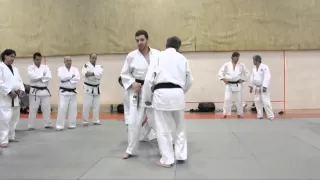 Katanishi Uchi Mata 3