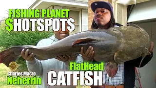 TROPHY FLATHEAD CATFISH | BEST HOTSPOT 2023  NEHERRIN | HOW TO CATCH BIG MONEY FISH